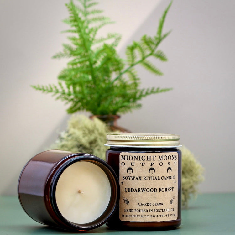Cedarwood Forest Soy Candle