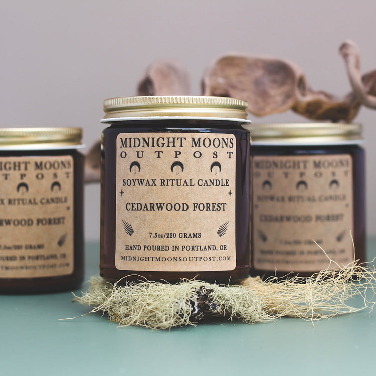 Cedarwood Forest Soy Candle
