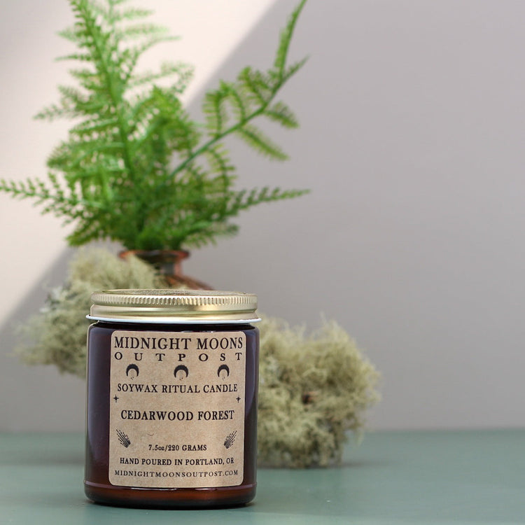 Cedarwood Forest Soy Candle