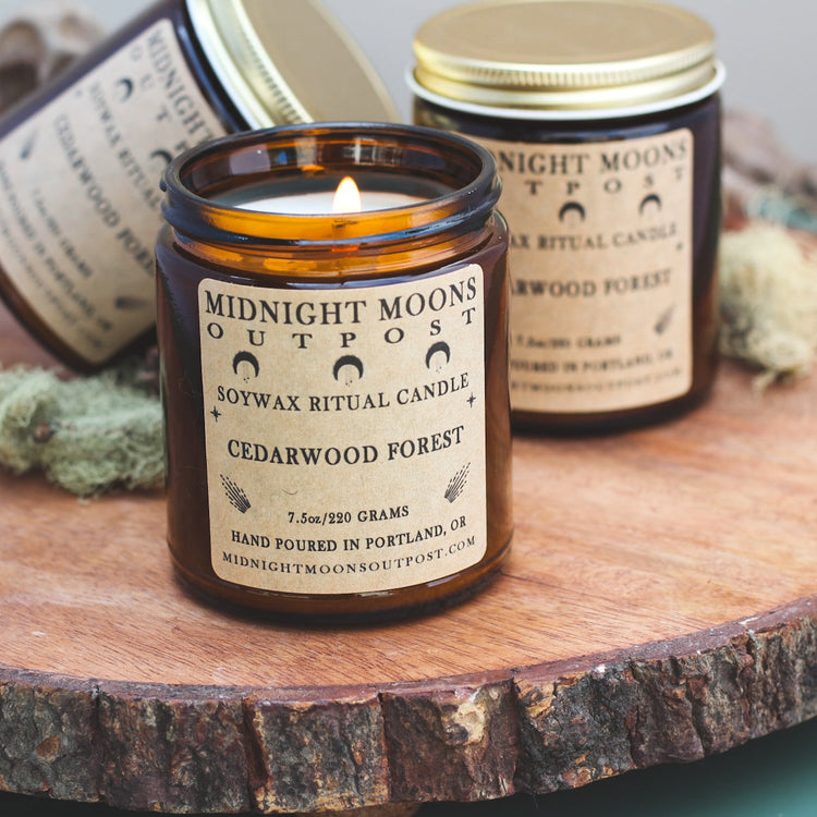 Cedarwood Forest Soy Candle
