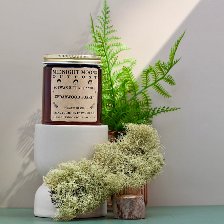 Cedarwood Forest Soy Candle