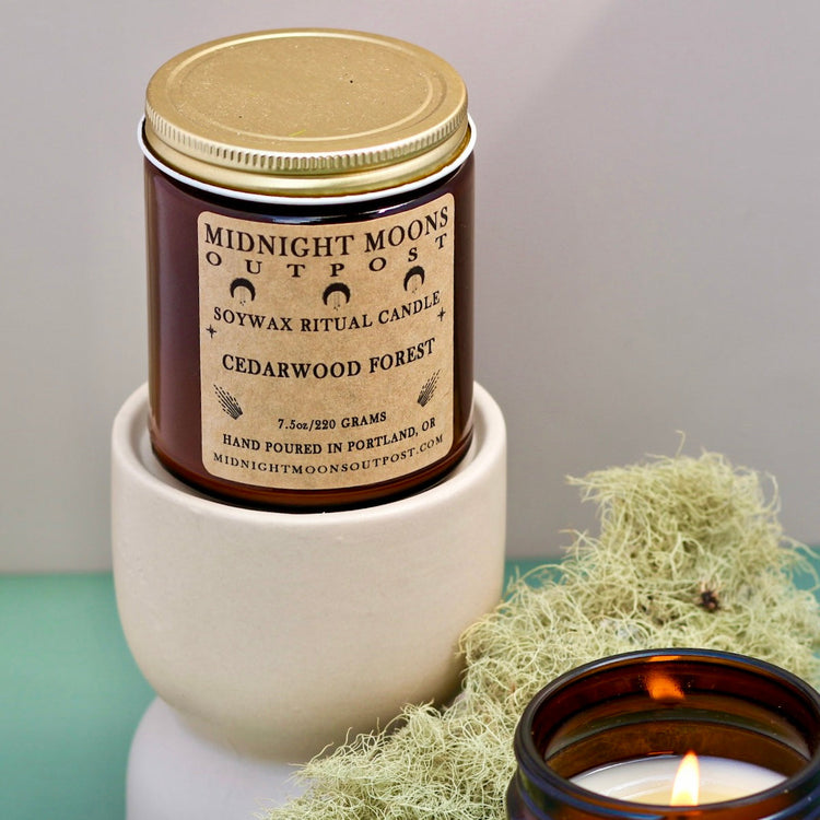 Cedarwood Forest Soy Candle
