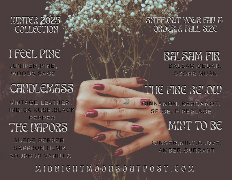 Winter Discovery Box