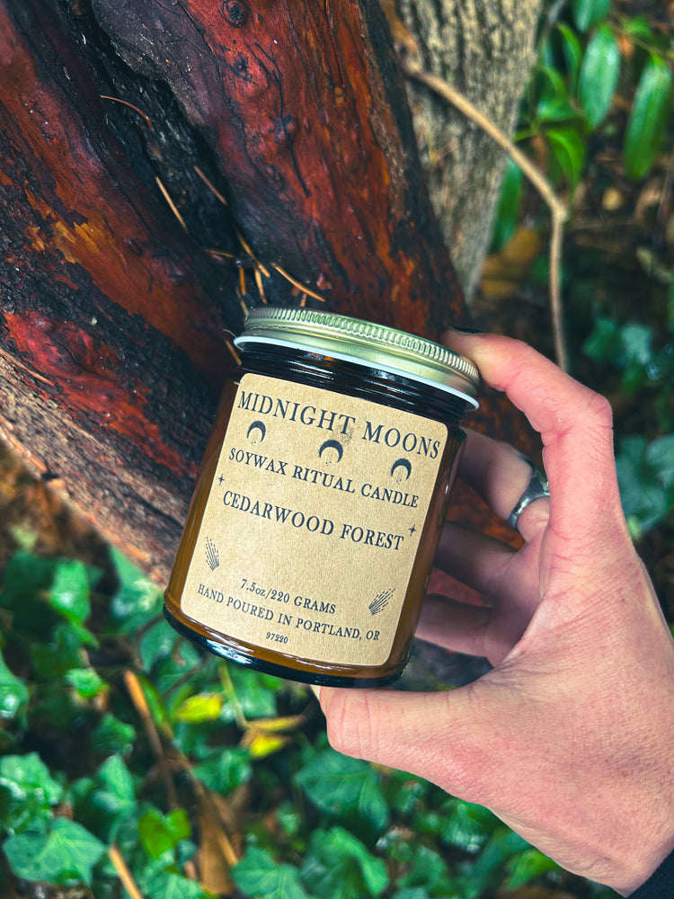 Cedarwood Forest Soy Candle