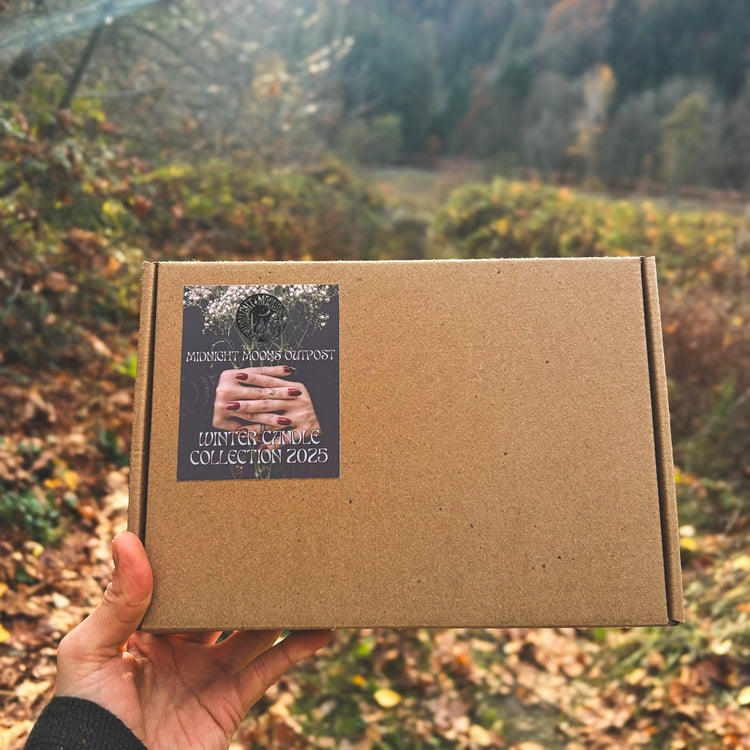 Winter Discovery Box