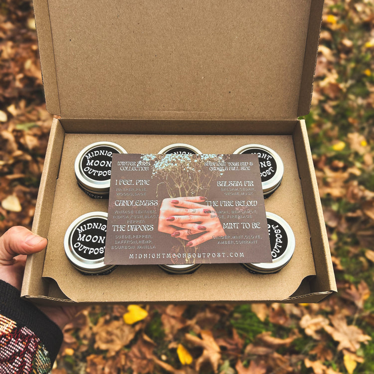 Winter Discovery Box