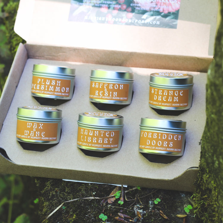 Fall Discovery Box