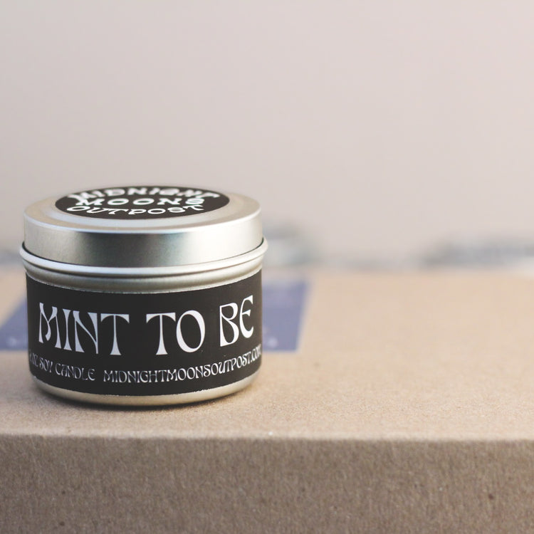 Winter Discovery Box